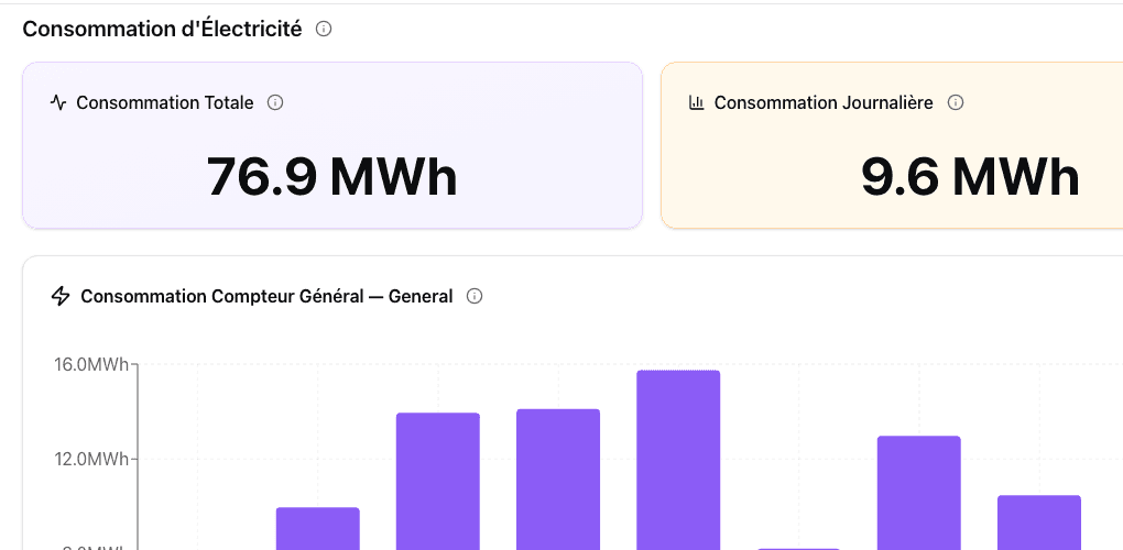 Electricity consumption page — stat cards and daily bars